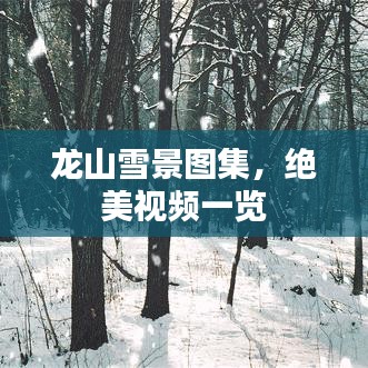 龍山雪景圖集，絕美視頻一覽