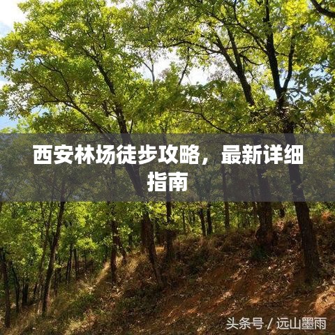 西安林場徒步攻略，最新詳細(xì)指南