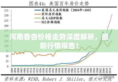 河南香杏價格走勢深度解析，最新行情報告！