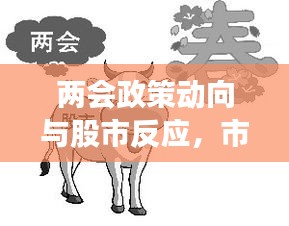 兩會(huì)政策動(dòng)向與股市反應(yīng)，市場走勢揭秘，投資機(jī)會(huì)前瞻