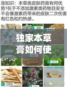 獨(dú)家本草膏如何使用，獨(dú)家本草膏有副作用嗎 