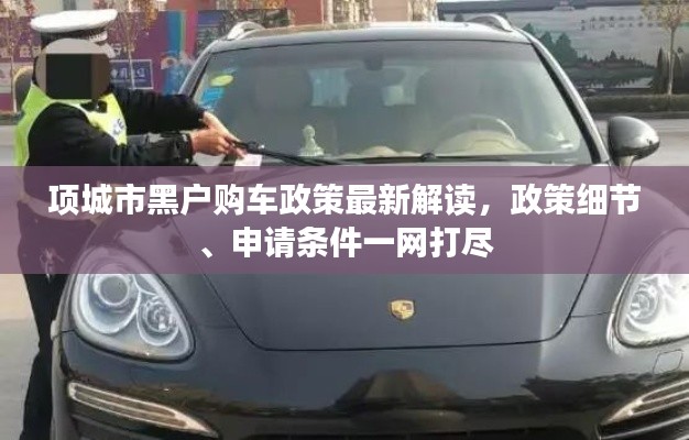 項城市黑戶購車政策最新解讀，政策細節(jié)、申請條件一網(wǎng)打盡