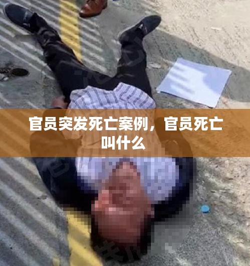 官員突發(fā)死亡案例，官員死亡叫什么 