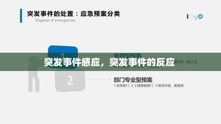 突發(fā)事件感應(yīng)，突發(fā)事件的反應(yīng) 