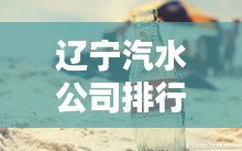 遼寧汽水公司排行榜揭曉，誰領風騷？