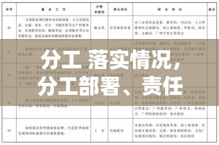 分工 落實情況，分工部署、責任落實 