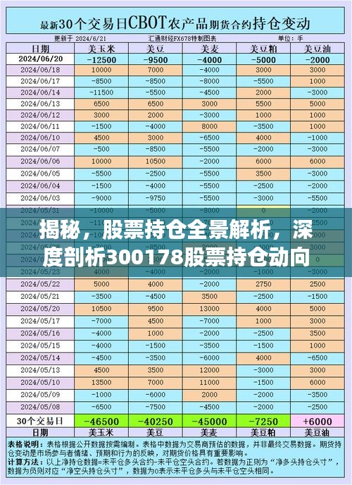 揭秘，股票持倉全景解析，深度剖析300178股票持倉動向