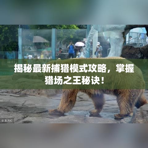 揭秘最新捕獵模式攻略，掌握獵場之王秘訣！