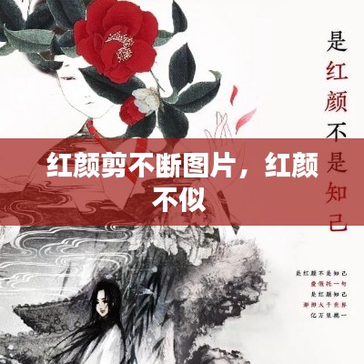 紅顏剪不斷圖片，紅顏不似 