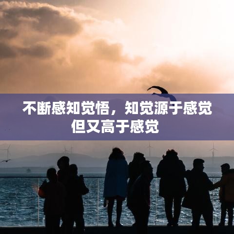 不斷感知覺悟，知覺源于感覺但又高于感覺 