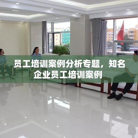 員工培訓案例分析專題，知名企業(yè)員工培訓案例 