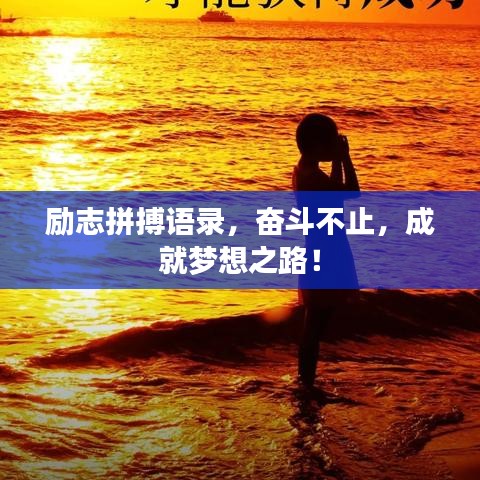 招標(biāo)采購 第4頁