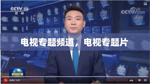 電視專題頻道，電視專題片 