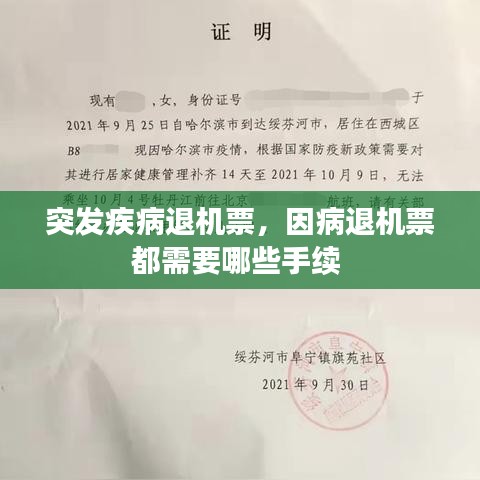 突發(fā)疾病退機(jī)票，因病退機(jī)票都需要哪些手續(xù) 