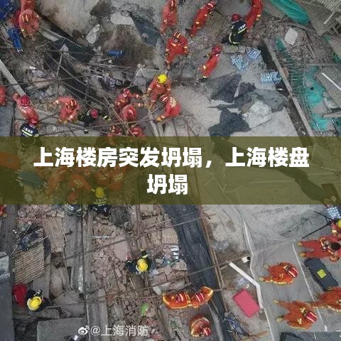 招標采購 第3頁