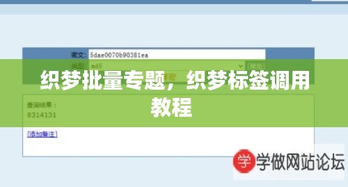 織夢批量專題，織夢標(biāo)簽調(diào)用教程 