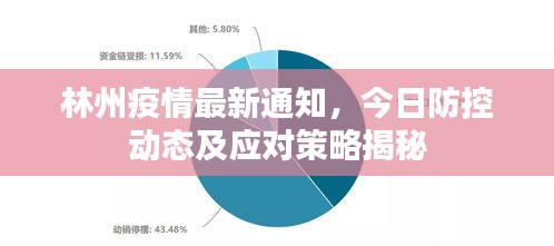 林州疫情最新通知，今日防控動態(tài)及應(yīng)對策略揭秘