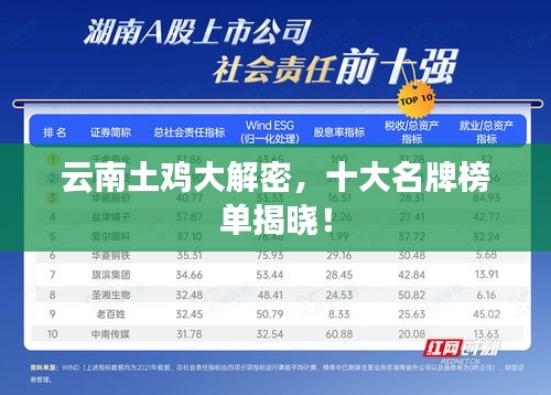 云南土雞大解密，十大名牌榜單揭曉！