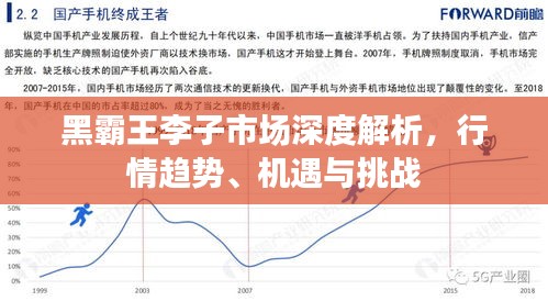 黑霸王李子市場深度解析，行情趨勢、機(jī)遇與挑戰(zhàn)