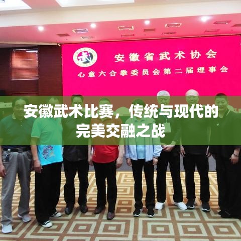 安徽武術比賽，傳統(tǒng)與現(xiàn)代的完美交融之戰(zhàn)