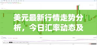 美元最新行情走勢分析，今日匯率動態(tài)及市場解讀