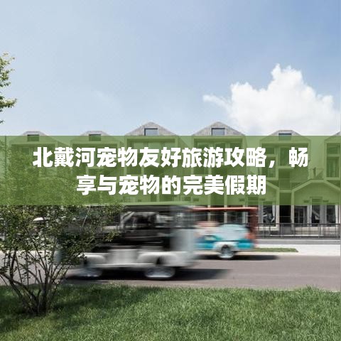 北戴河寵物友好旅游攻略，暢享與寵物的完美假期