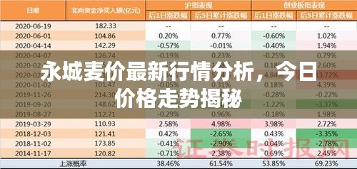 永城麥價(jià)最新行情分析，今日價(jià)格走勢(shì)揭秘