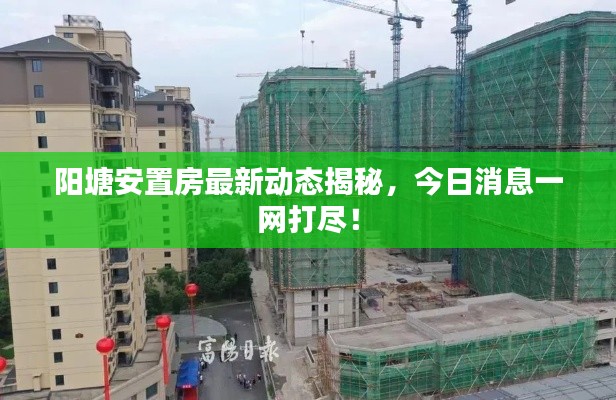 陽(yáng)塘安置房最新動(dòng)態(tài)揭秘，今日消息一網(wǎng)打盡！